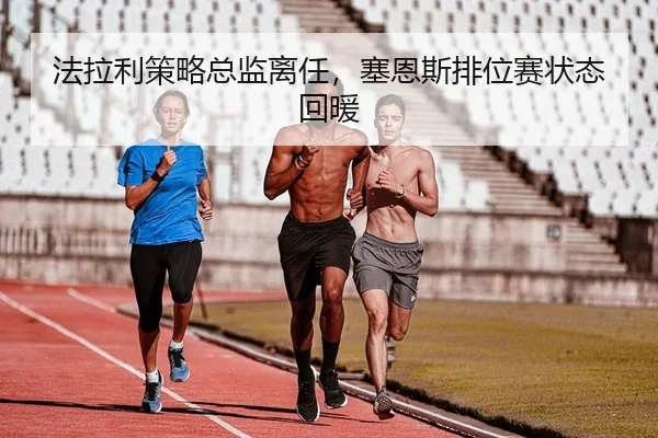 fa-la-li-ce-lve-zong-jian-li-ren-sai-en-si-pai-wei-sai-zhuang-tai-hui-nuan-2-694.jpg